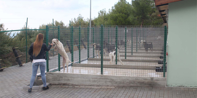 Hayvan Barna ve Rehabilitasyon Merkezi hizmete girdi