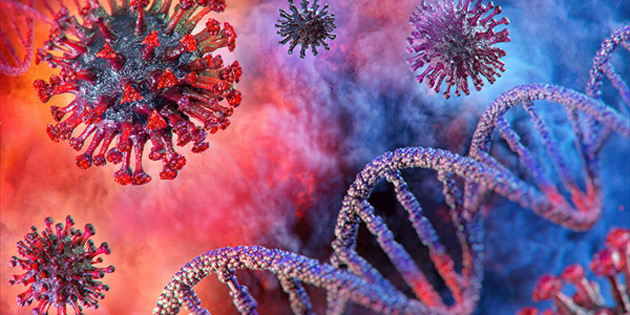 451 YEN� POZ�T�F VAKA 