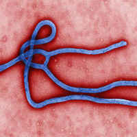 G�ney K�br�s’ta ebola i�in �zel eylem plan�