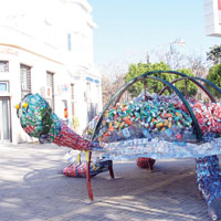 ��p Kaplumba�a Girne’de