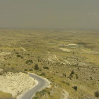 Gneyde Kalan Zeytinlik