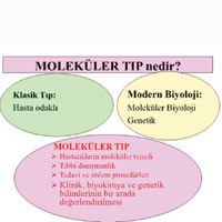 Molek�ler T�p Fak�ltesi kuruyorlar 