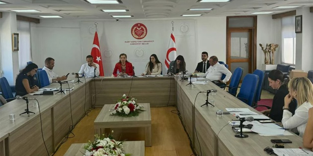 Maliye, Bte ve Plan Komitesi topland