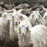 Akama’da ar otlatma sorunu 