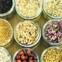 Bakterilere kar bitkisel antibiyotikler