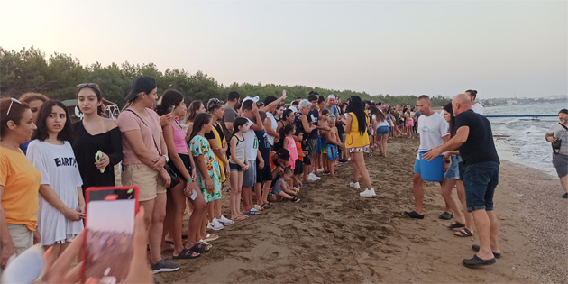 �skele’deki etkinlikte yavru carettalar denize b�rak�ld� 