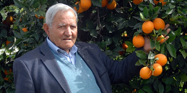 Akn: 'Narenciye reticisi perian...' 