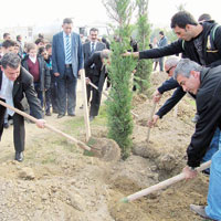 Cumhuriyet Park’na 250 yeni fidan