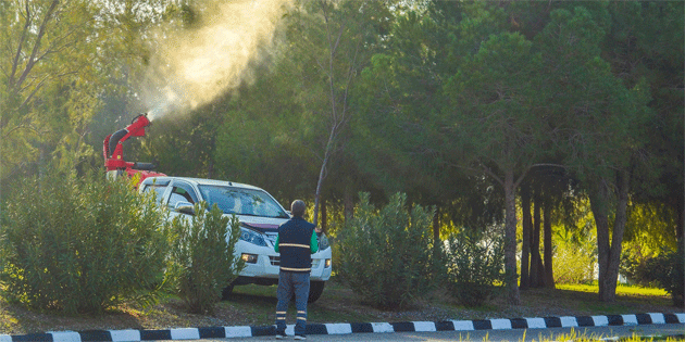 LTB �am kese b�ce�ine kar�� biyolojik ila�lamaya ba�lad�