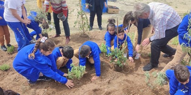 Girne Liman Rotary Kulb “tozlayc” projesi devam ediyor
