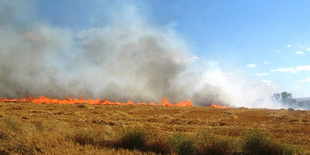 Lefke ve Ye�il�rmak’ta yang�n