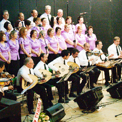 �A�SAD konser haz�rl���nda 