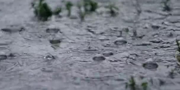 Yo�un ya��� nedeniyle Serdarl�-�ukurova aras�ndaki g�zergahta yol i�erisinde su birikintileri olu�tu 