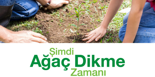 Baraka a�a� dikme etkinli�i ger�ekle�tirecek