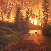 Larnaka ve Limasol’daki yangnlar byk zarara yol at