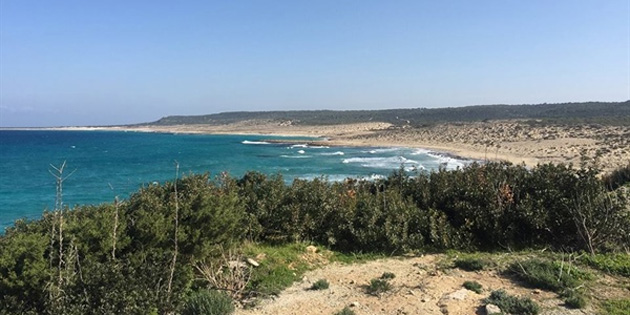  Ronnas sahili kat� at�klardan temizleniyor