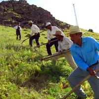 Topraklarnn kullandndan ikayet edildi 