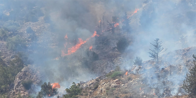 Yama�k�y’de ormanl�k alandaki yang�na m�dahale s�r�yor