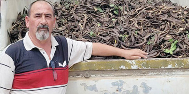 239 MUHTARDAN EYLEM HAZIRLII 