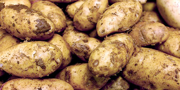 140 TL’L�K PATATES F�YATI �FLASIN �LANIDIR 