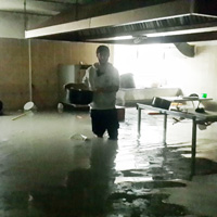 YOLLAR G�L OLDU, ARA�LAR Y�ZD�