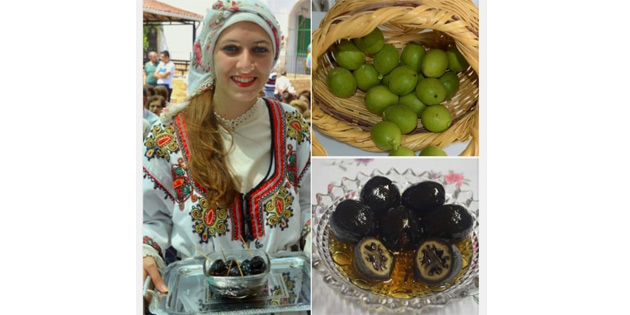 “10. Lefke Ceviz Festivali” 5 Haziran’da ba�l�yor 