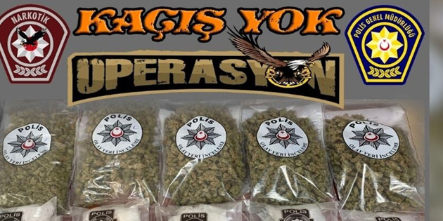 ZEHR TACRNE “KAI YOK” 