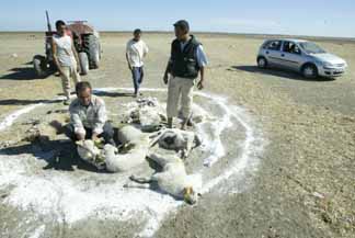 Ka� yapamad� g�z ��kard�lar