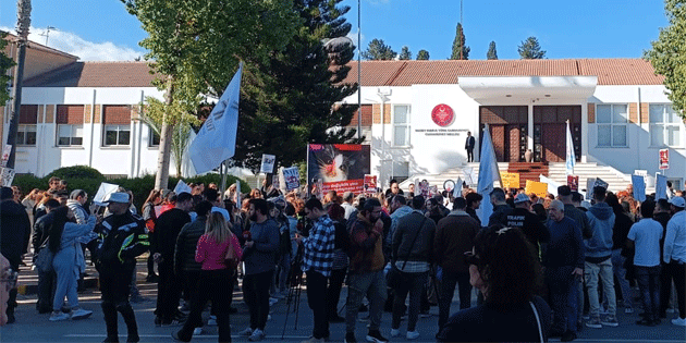 'Hayvanlar da candr, canlara sahip k!'