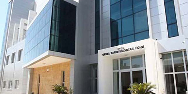 Dipkarpaz’da zeytin �reticilerine e�itim verilecek