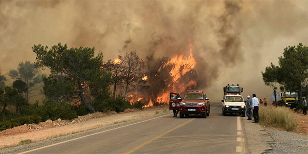 'Yanan alanlar yeterince a�a�land�r�lm�yor'