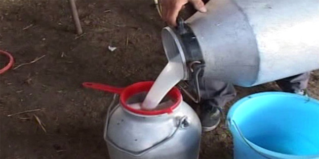 S�t bedelleri �deniyor 