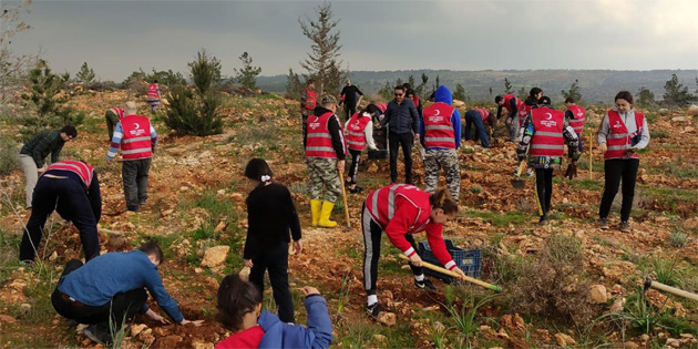 KIZILAY KALKANLI’DA ANI ORMANI OLU�TURDU 