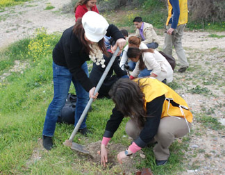 Avclarla renciler 500 fidan dikti 