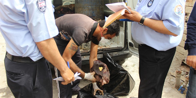 Gazimausa’da Kaak Hayvan Kesimi Yaplan Bir yeri Tespit Edildi 