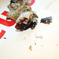 PASTADAN YUMURTA KABU�U �IKTI