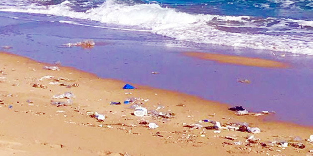 Z�YARET��LER�N ATIKLARI ��PL��E �EV�RD� 