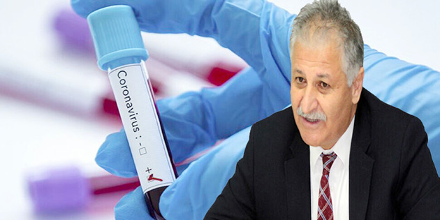 3 POZ�T�F VAKAYA RASTLANDI 