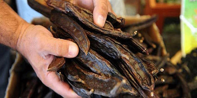 Lefke il�esinde harup hasadi yarindan itibaren ba�layacak 