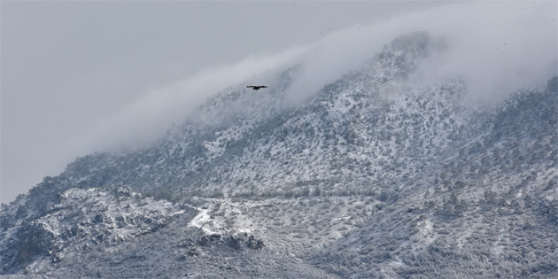 BUG�N Y�KSEK KES�MLER KARLI 