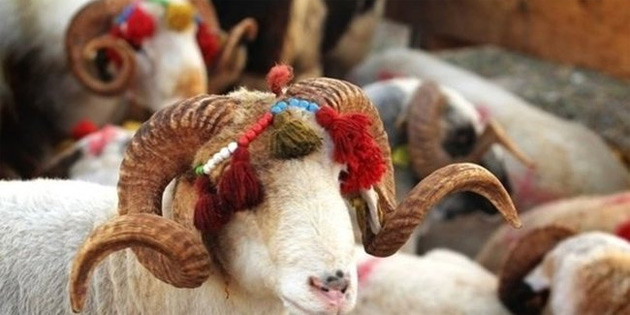 Kurban Bayram yarn sona eriyor