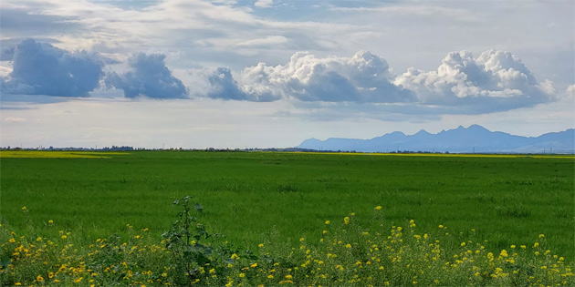 Hava scakl 19-22 derece dolaylarnda