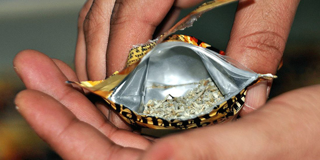 Gazimausa’da sentetik cannabinoid bulundu