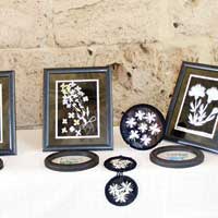 Kbrs pek Festivali balyor 