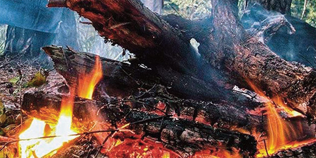 ORMANDA ATE YASAI BALIYOR 