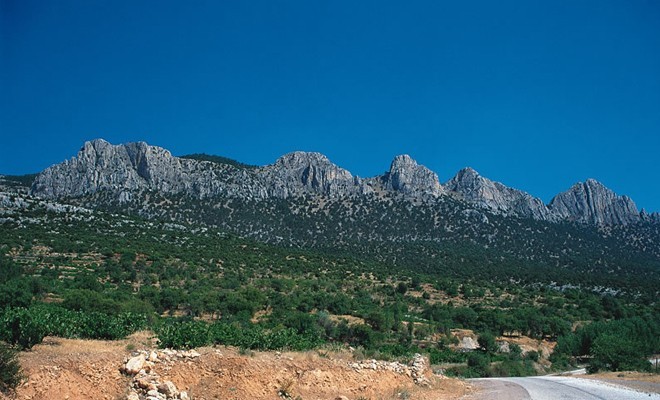 Beparmaklar ile ilgili rapor Zinon'a sunuldu