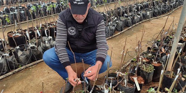 Bitkilerde �o�altma ve a��lama teknikleri konusunda uygulamal� e�itimler verilecek