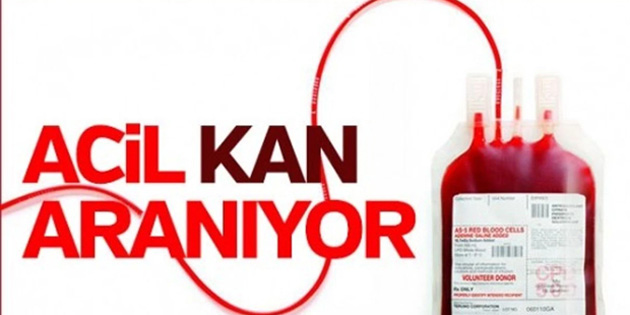 Y�lmaz ��rako�lu i�in kan aran�yor