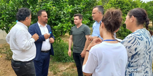 Biyolojik mcadele amac ile parazitoit bcek salnmna baland 