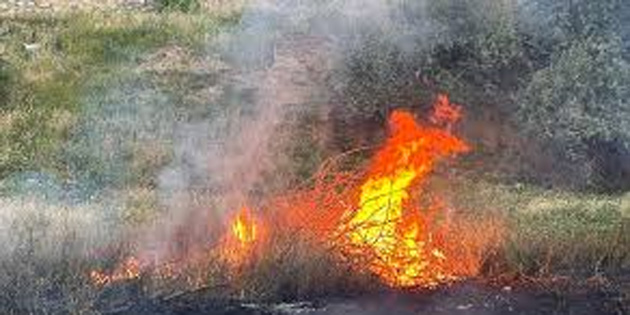 Dipkarpaz’da arazi yang�n�